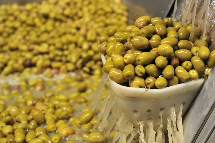 Aceitunas y conservas